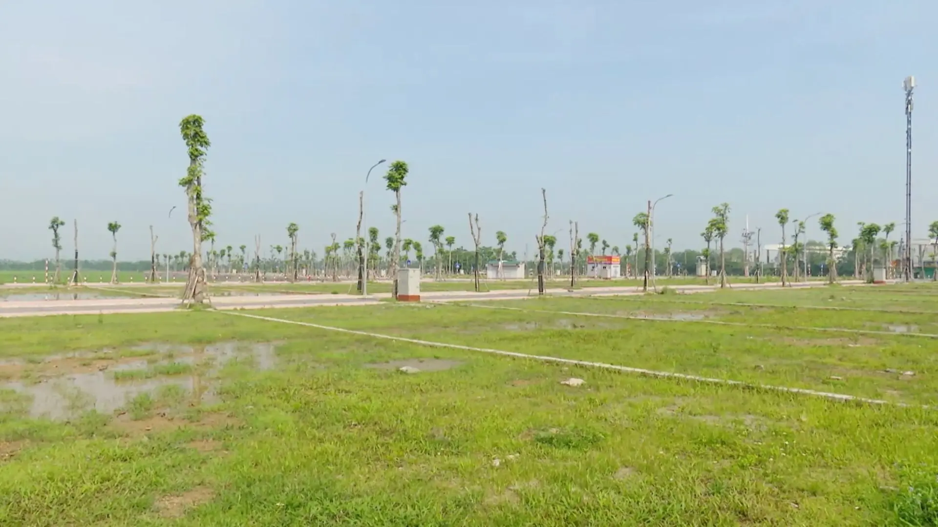 Đề xuất cấm đấu giá đất dài hạn với người bỏ cọc